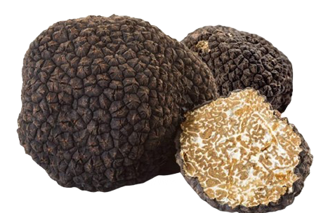 Tartufo fresco